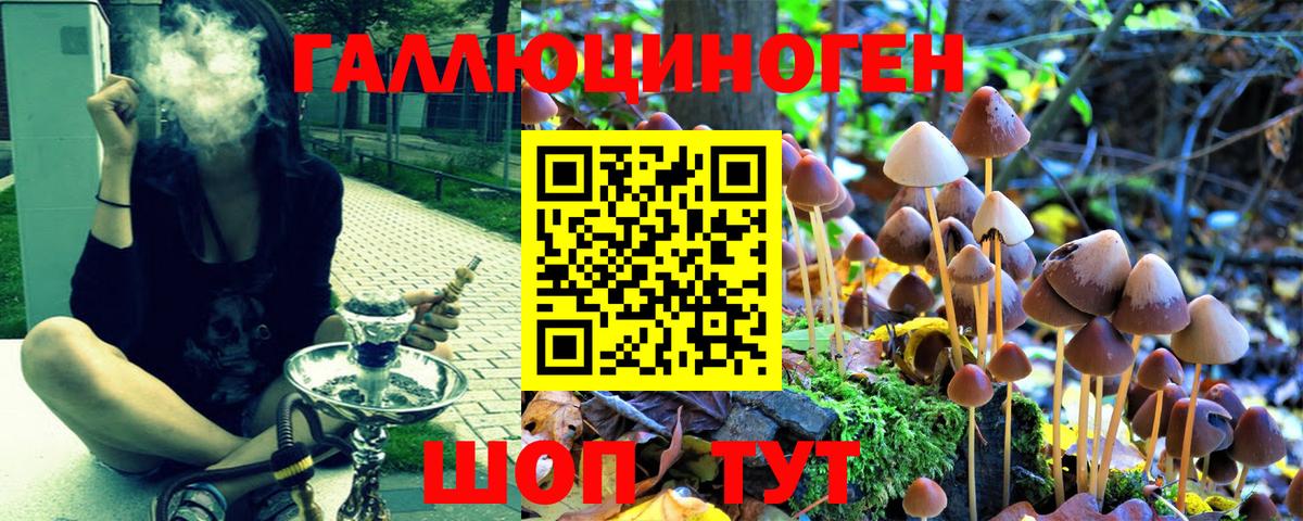 Можайск  Галлюциногенные грибы MAGIC MUSHROOMS  Вход с VPN 