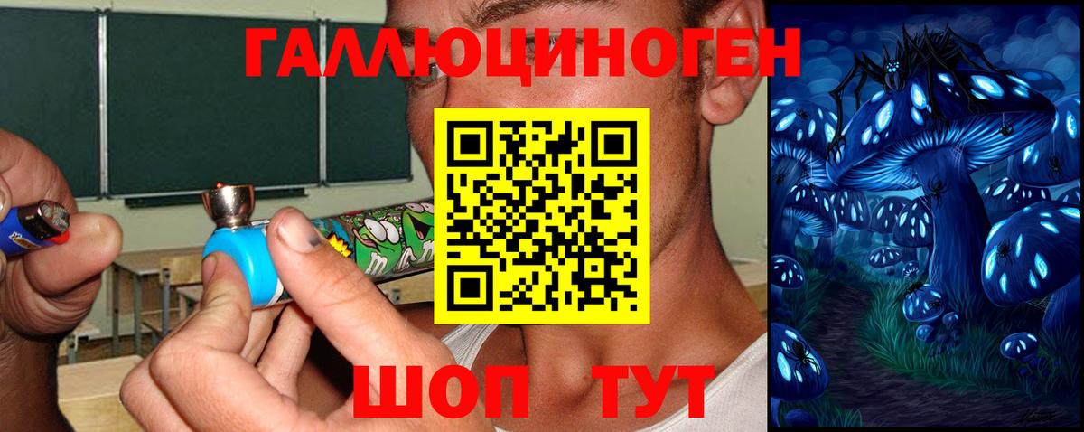 Галлюциногенные грибы Psilocybine cubensis Можайск